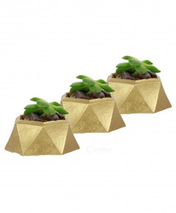 Mini Çiçek Saksı Küçük Sukulent Altın Kaktüs Saksısı 3'lü Set Mini Poly 2 Model